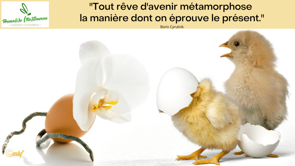 Métamorphose…